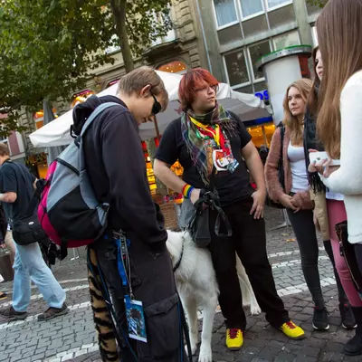 img-79.jpg of cons/Fursuitwalk-Frankfurt-2013/