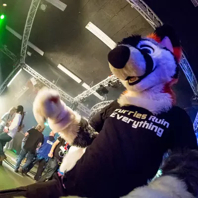 3B9C1251.jpg of cons/Furrave-3/