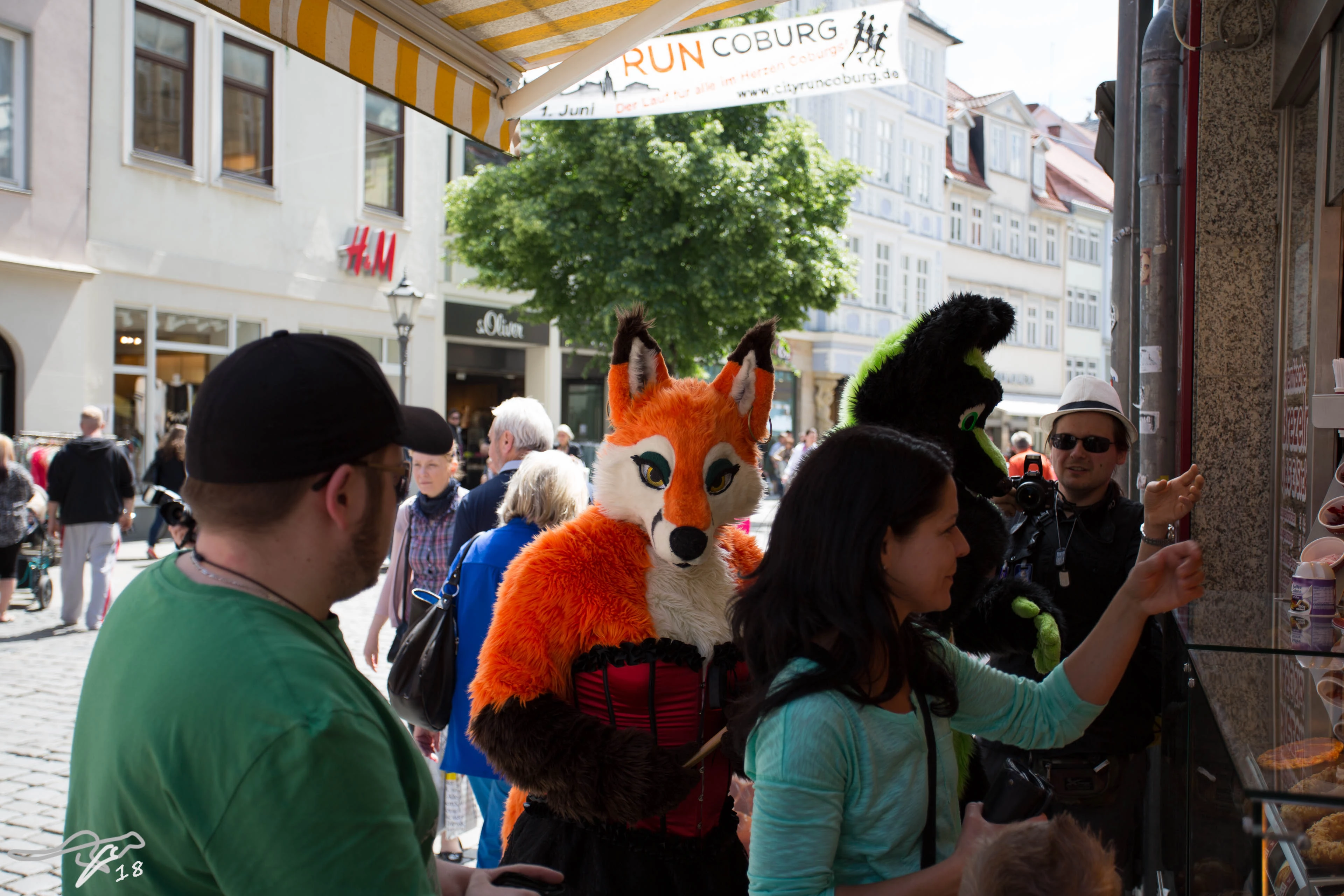 full image IMG_8546.jpg