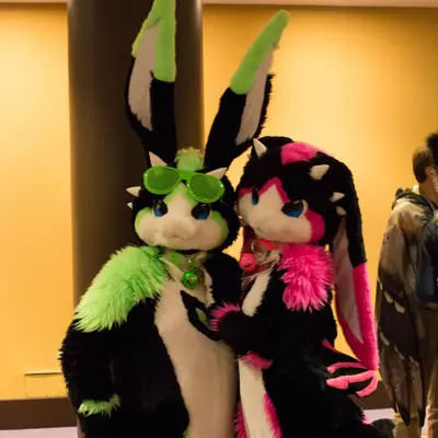 3B9C9910.jpg of cons/MFF-2018/
