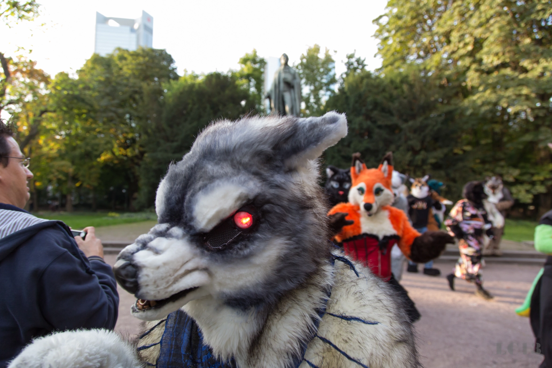 full image img-56.jpg