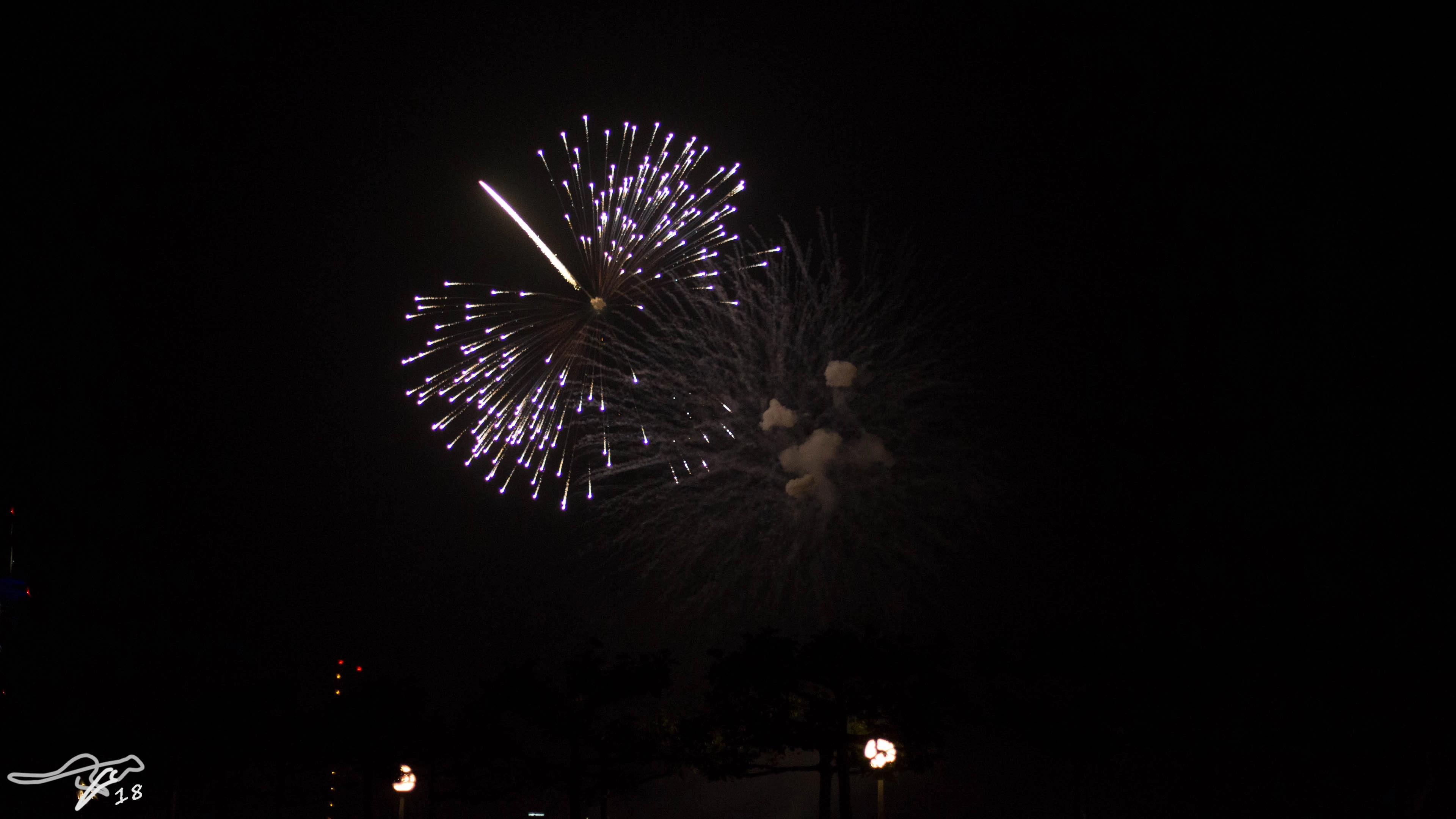 full image IMG_8393.jpg