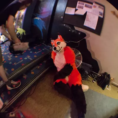 fsb-14.jpg of cons/Fursuitbowlen-Wiesbaden-2013/