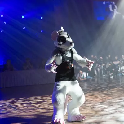 3B9C7391.jpg of cons/Eurofurence-22/
