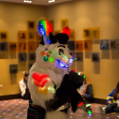 3B9C0076.jpg of cons/MFF-2018/