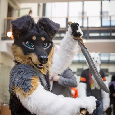 3B9C2913.jpg of cons/Eurofurence-21/