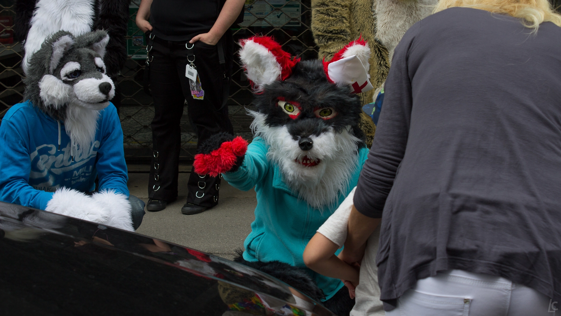 full image img-22.jpg