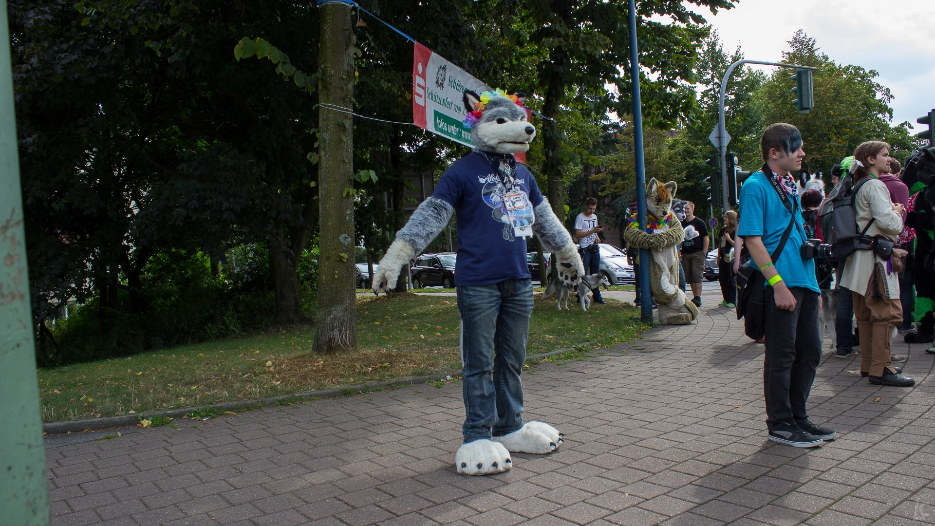 full image img-27.jpg