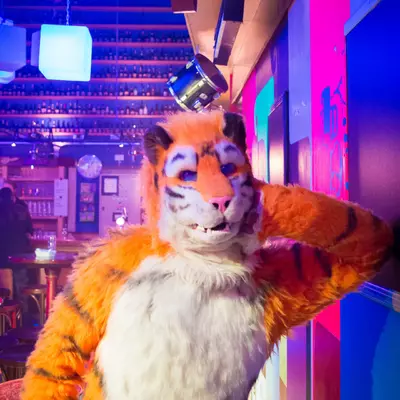 3B9C0825.jpg of cons/Furrave-5/