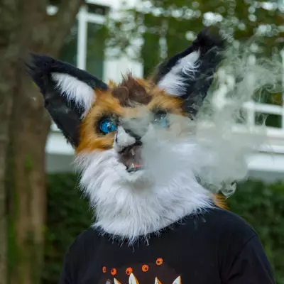 img-61.jpg of cons/Fursuitwalk-Frankfurt-2013/