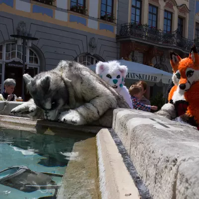 IMG_8601.jpg of cons/Fursuitwalk-Coburg-2014/