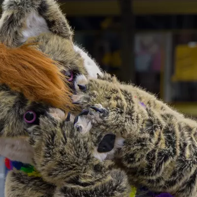 img-7.jpg of cons/Suitwalk-2013-Marl/
