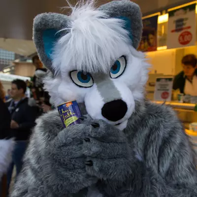 img-30.jpg of cons/Fursuitwalk-Frankfurt-2013/