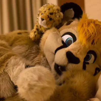 3B9C9812.jpg of cons/MFF-2018/