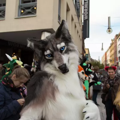 img-7.jpg of cons/Fursuitwalk-Frankfurt-2013/