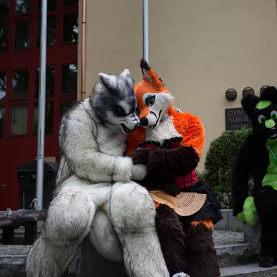 IMG_8787.jpg of cons/Fursuitwalk-Coburg-2014/
