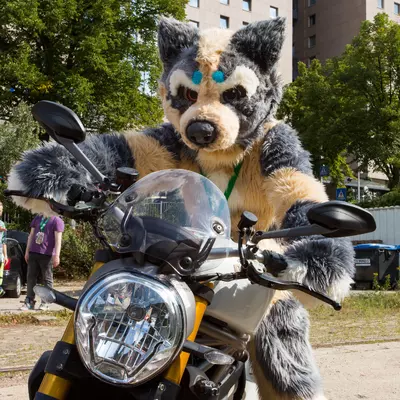 3B9C0879.jpg of cons/Eurofurence-20/