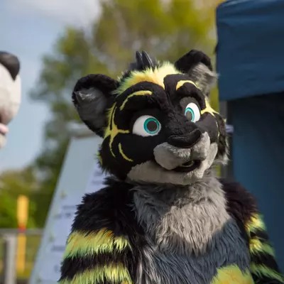 3B9C6247.jpg of cons/Fursuit-Bungeejumping-2016/