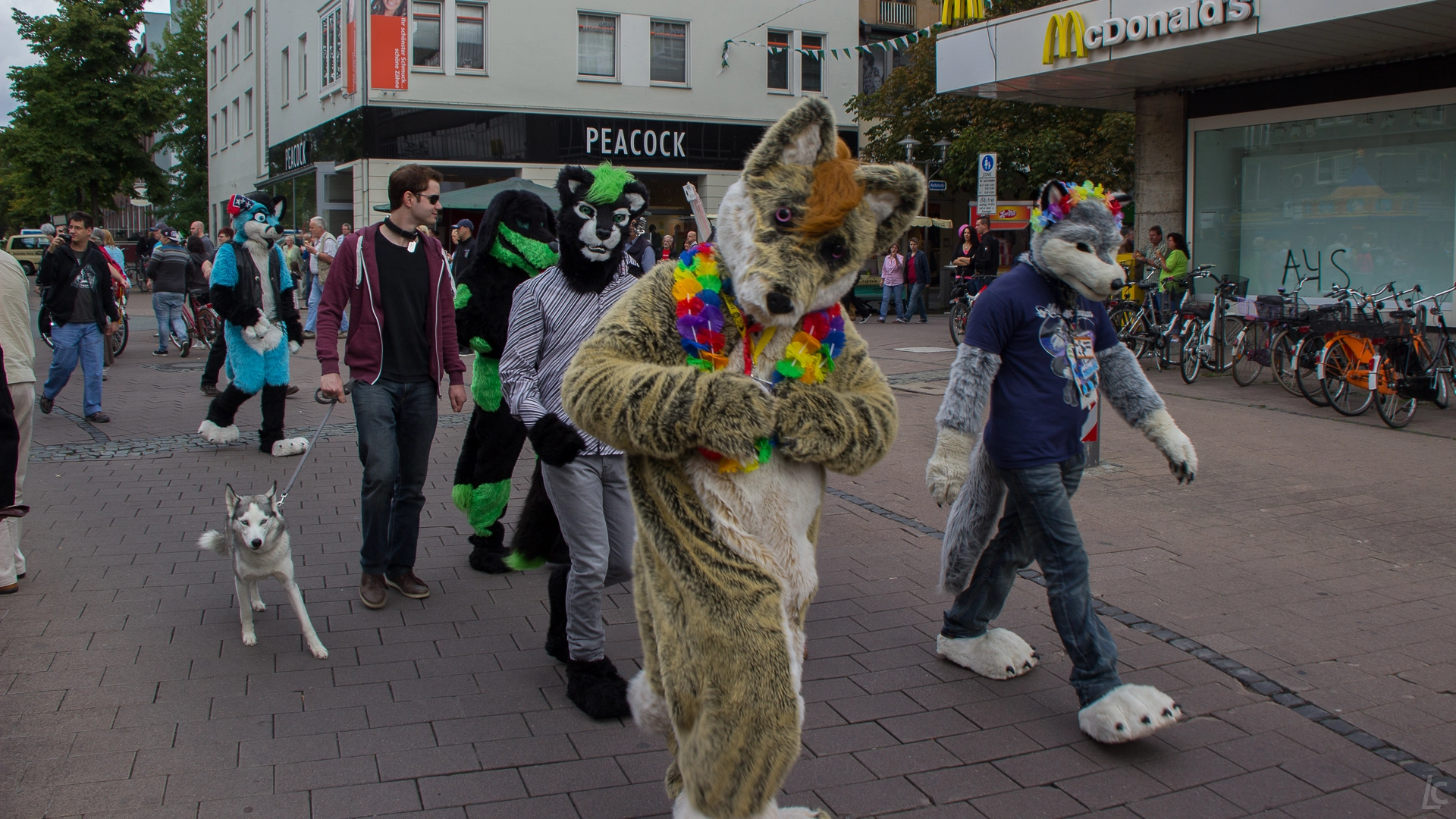 full image img-11.jpg