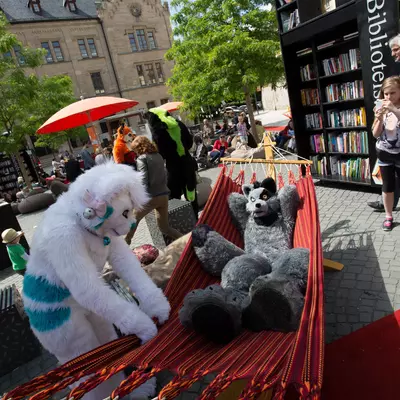 IMG_8719.jpg of cons/Fursuitwalk-Coburg-2014/