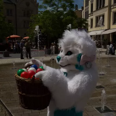 IMG_8669.jpg of cons/Fursuitwalk-Coburg-2014/