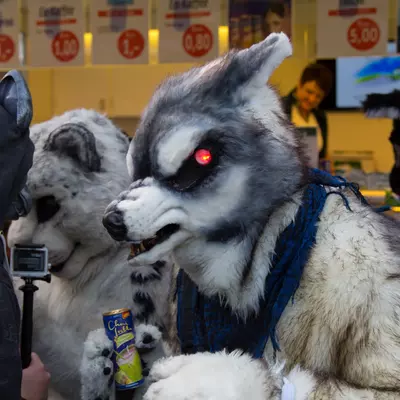 img-24.jpg of cons/Fursuitwalk-Frankfurt-2013/