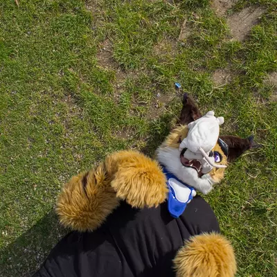 sw-139.jpg of cons/Suitwalk-2013-Dortmund/