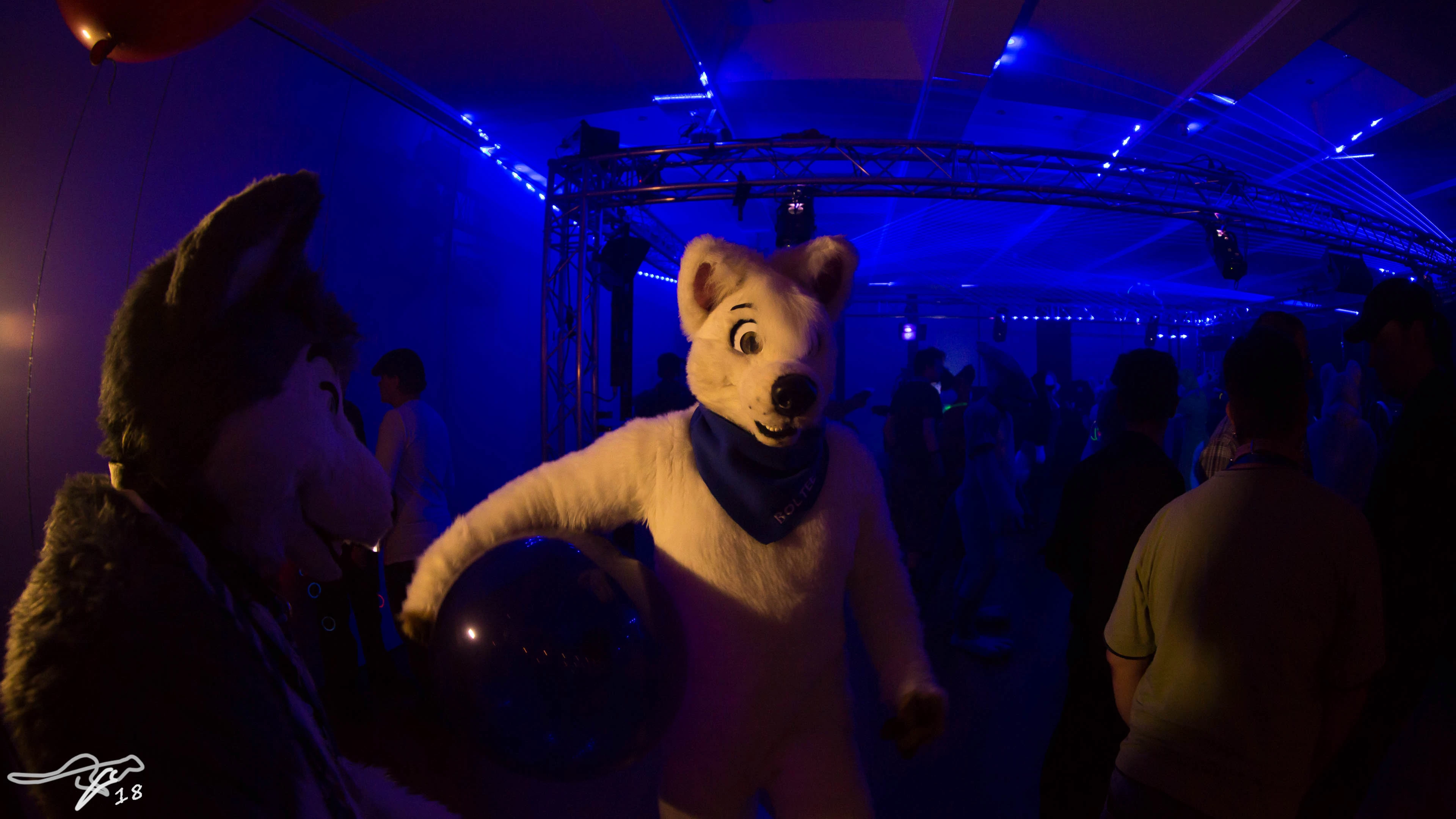 full image IMG_7479.jpg