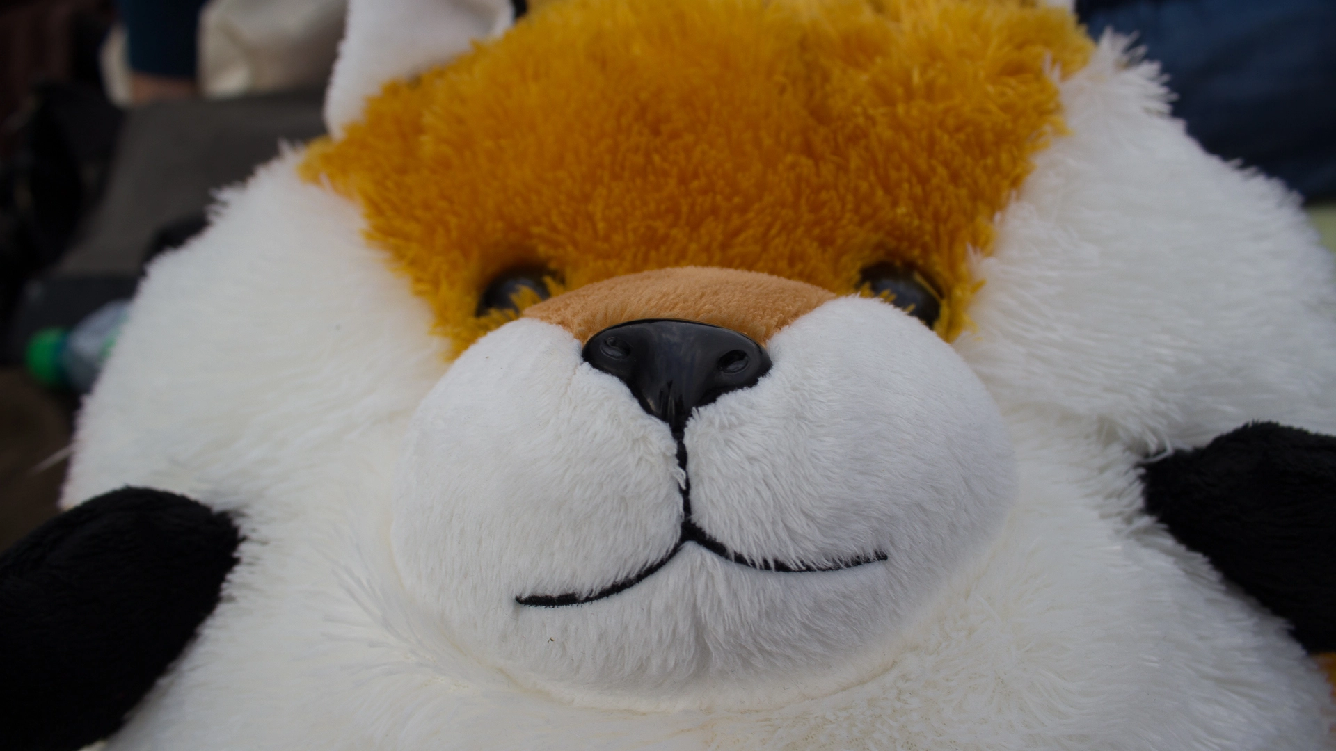 full image img-6.jpg