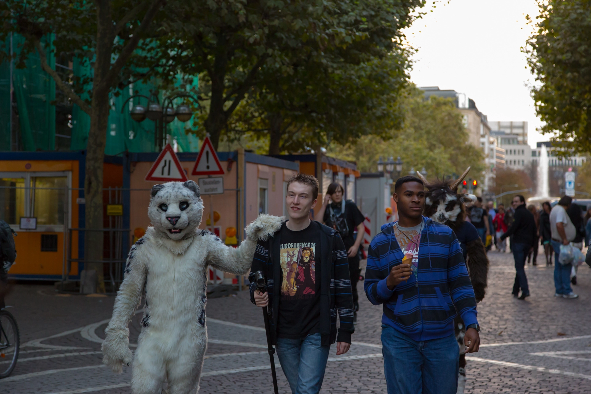 full image img-78.jpg