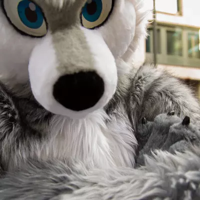 img-3.jpg of cons/Fursuitwalk-Frankfurt-2013/