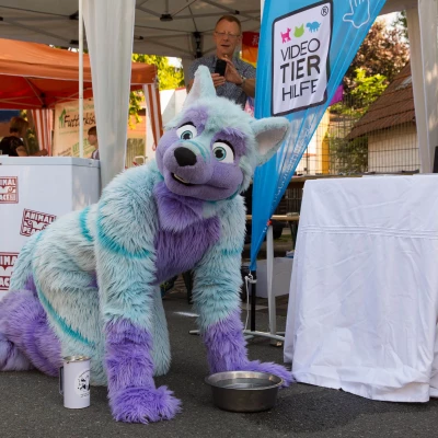 3B9C2658.jpg of cons/Animal-Rescue-2015/