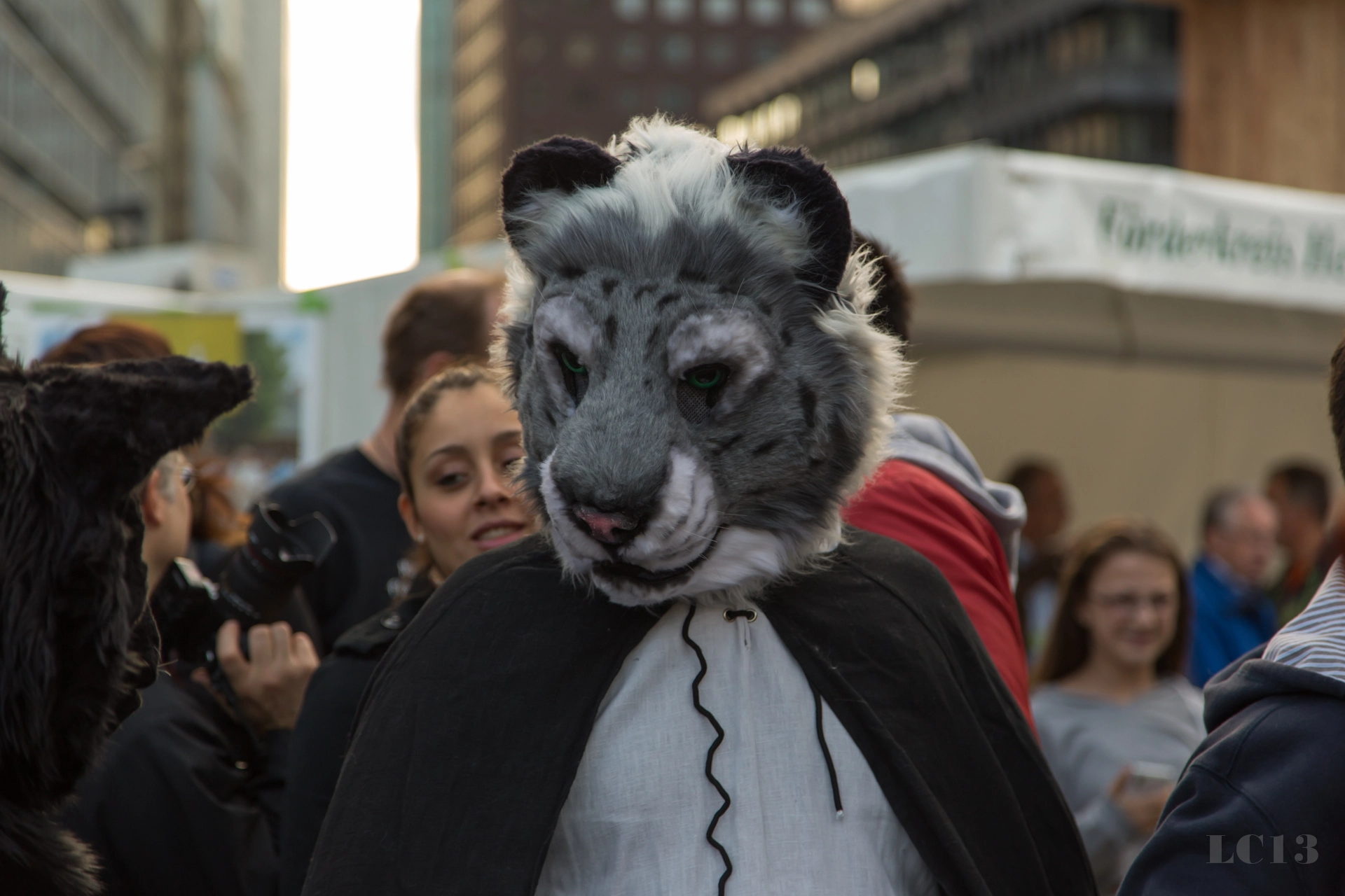full image img-26.jpg