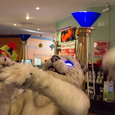 fsb-32.jpg of cons/Fursuitbowlen-Wiesbaden-2013/