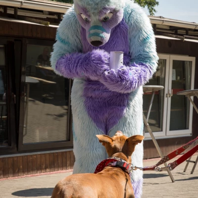 3B9C2623.jpg of cons/Animal-Rescue-2015/