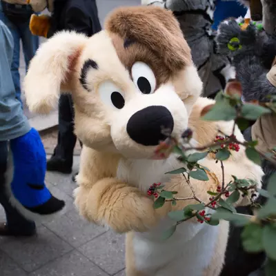 3B9C9756.jpg of cons/Eurofurence-20/