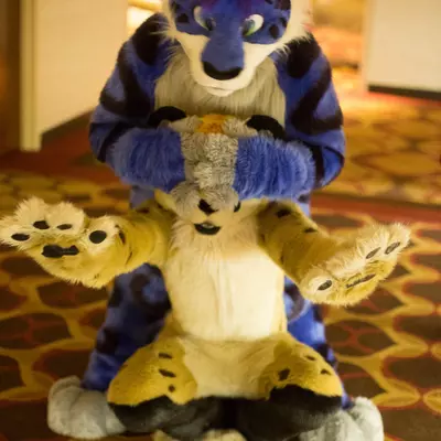 3B9C9706.jpg of cons/MFF-2018/