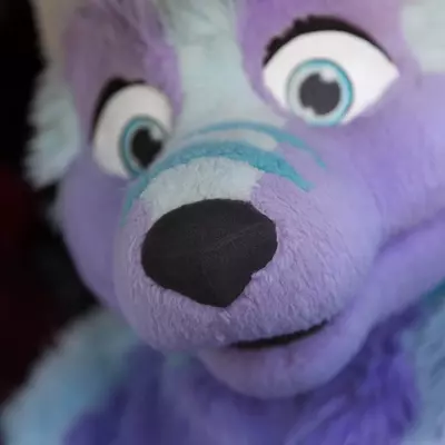 3B9C3325.jpg of cons/Eurofurence-21/