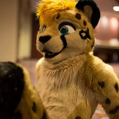 3B9C9877.jpg of cons/MFF-2018/