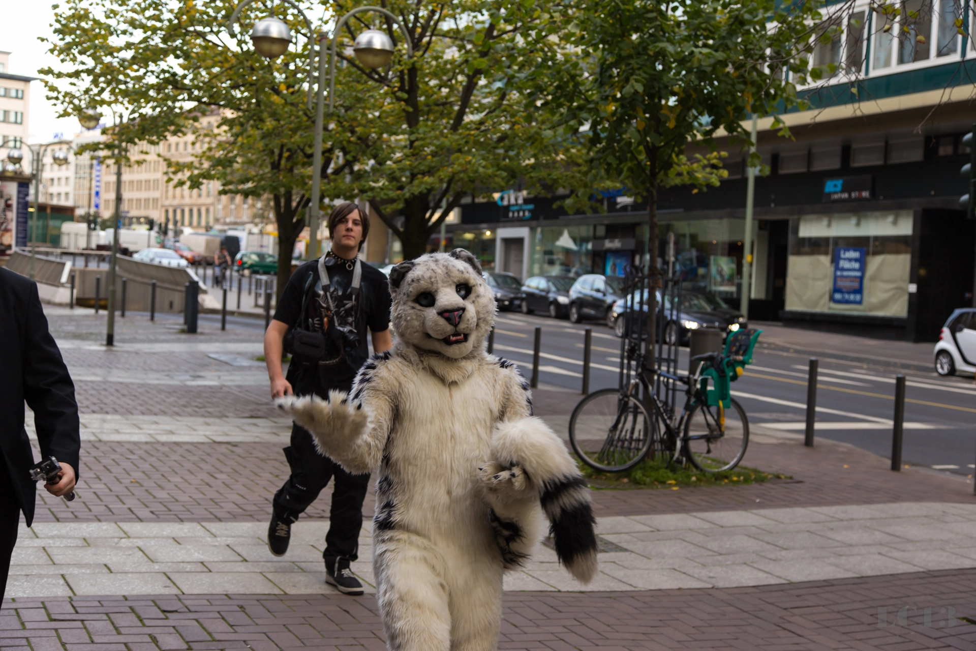 full image img-43.jpg