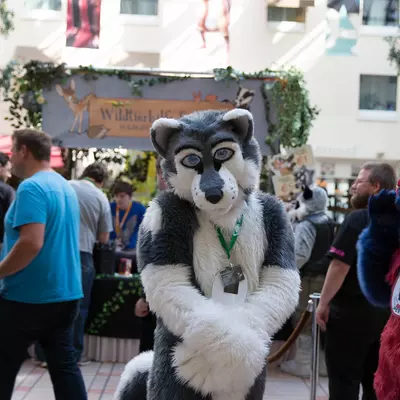 3B9C2895.jpg of cons/Eurofurence-21/