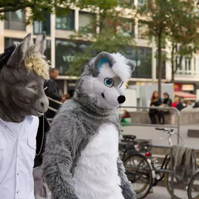 img-9.jpg of cons/Fursuitwalk-Frankfurt-2013/