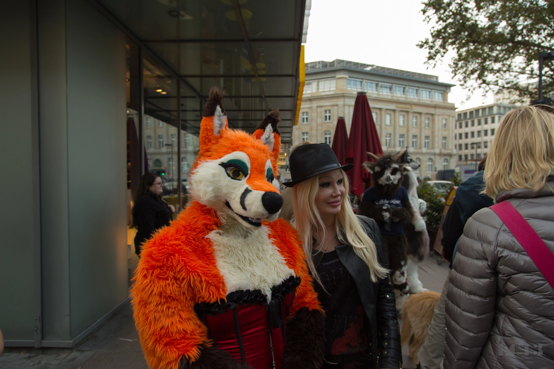 full image img-37.jpg