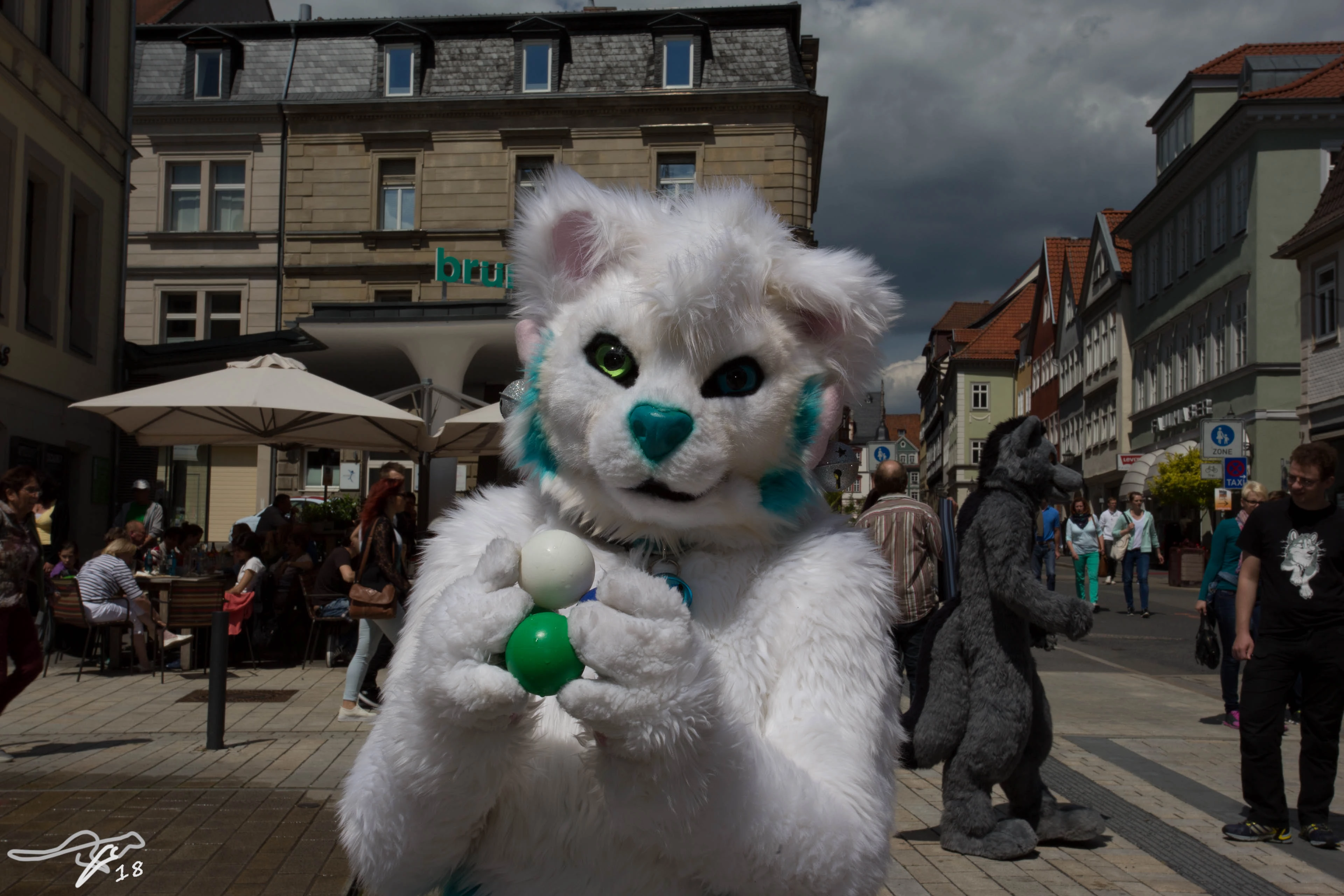 full image IMG_8667.jpg
