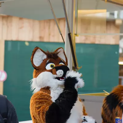 img-22.jpg of cons/Fursuitwalk-Frankfurt-2013/