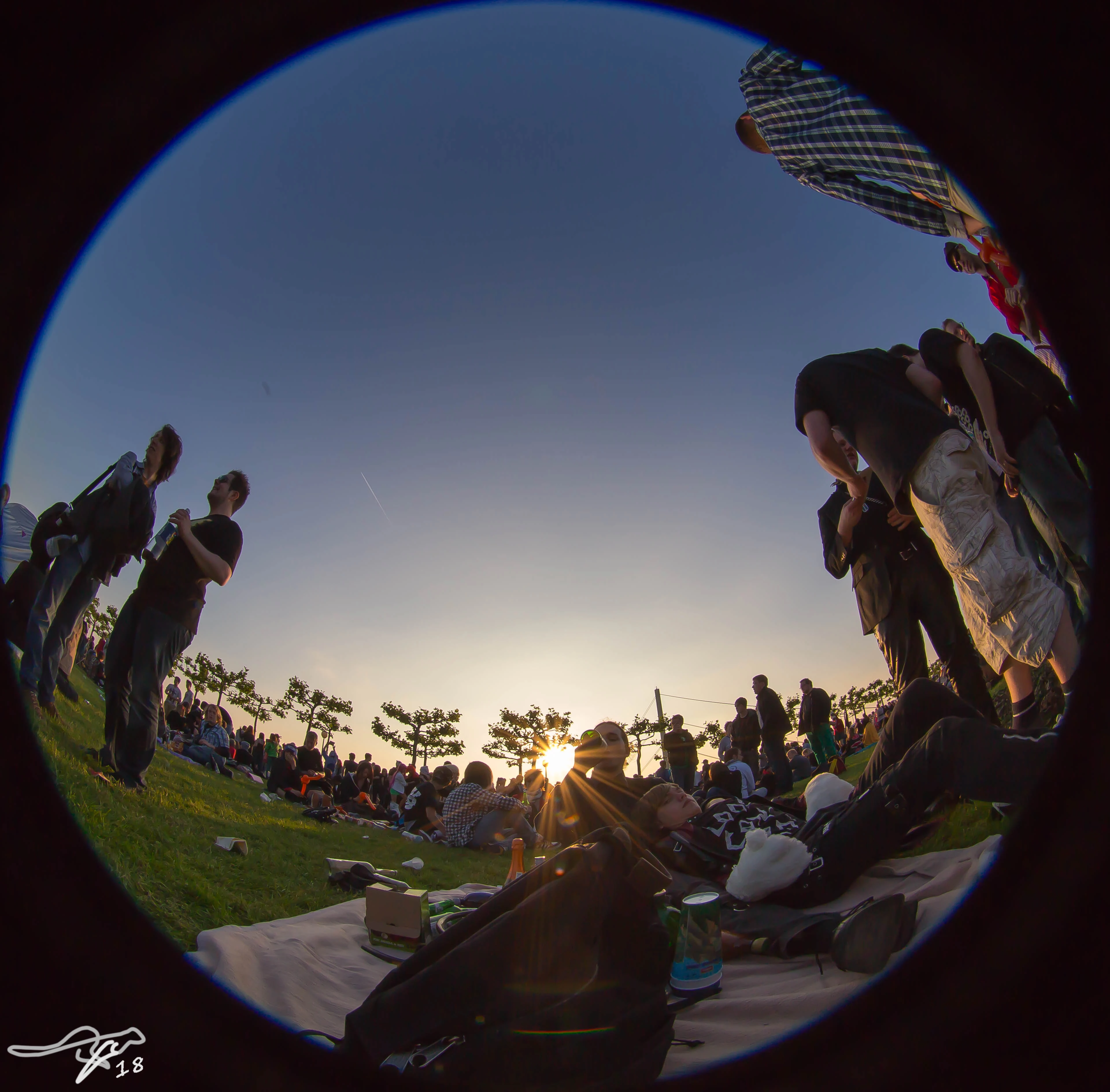 full image IMG_8302.jpg