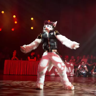 3B9C7683.jpg of cons/Eurofurence-22/