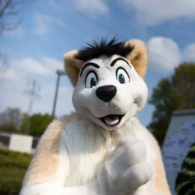 3B9C6249.jpg of cons/Fursuit-Bungeejumping-2016/