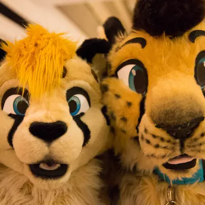 3B9C0001.jpg of cons/MFF-2018/