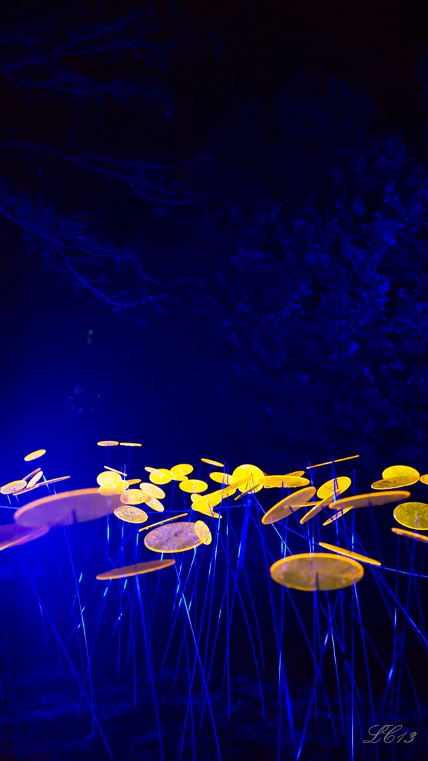 full image hl-10.jpg